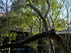 -杭州雅谷泉山庄酒店-餐厅