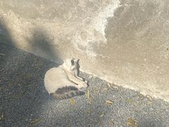 -喜宴又一村·粤菜·茶点·海鲜(壹方天地店)