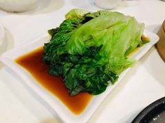 白灼生菜-金鼎轩(亚运村店)