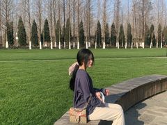 -合肥滨湖国家森林公园