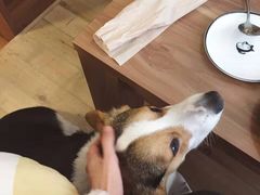 -维卡食舍(户部山店)
