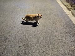 -南京市江宁方山