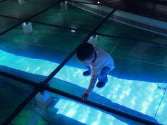 -上海长江河口科技馆
