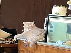 -MIMO CAFE(沙头角店)