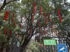 -晓港公园