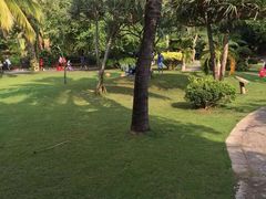 -三亚湾海居铂尔曼度假酒店