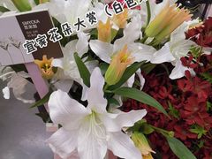 -宜家家居(哈尔滨商场店)