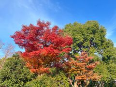 -上海山野camping·户外天幕烧烤·团建拓展营地