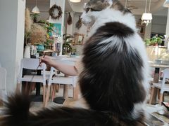-小时光咖啡馆(北锣鼓巷店)