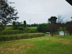 -嘉北郊野公园