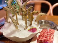 基围虾-尚海豆捞(乐虹坊店)