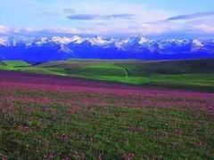 -居丽装饰空间设计(奉贤店整合到徐汇总部)