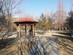 -元大都城垣遗址公园