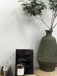 -蚂蚁造型俱乐部