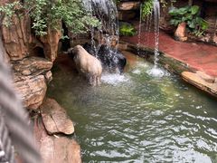 -长鹿旅游休博园