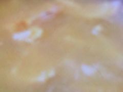 -金海阁海鲜火锅