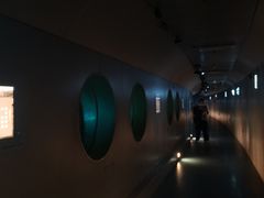 -白鹤梁水下博物馆
