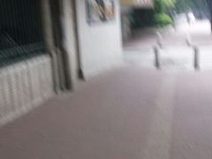 -晓港公园