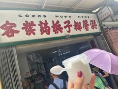-洪馨椰子
