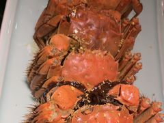 -南京大牌档(中关村领展广场店)