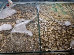-四海蒸鲜蒸汽海鲜自助(北戴河店)