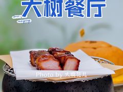 炭烧蜜汁叉烧-大树餐厅(朝阳大悦城店)