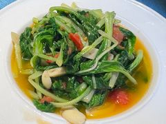 番茄毛白菜-新疆巴州金丝特餐厅(大钟寺店)