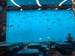 -瑞德姆美人鱼海底演艺主题餐厅(亚龙湾店)