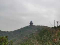 -杭州半山国家森林公园