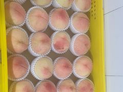 -老袁家蜜桃农场·阳山水蜜桃