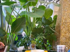 -chenity  cafe