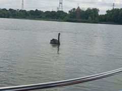 -昆山城市生态森林公园