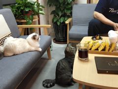 -焕醒·川派采耳(云街店)