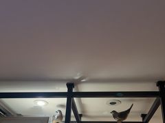 -浅深Cheersum(曹杨店)