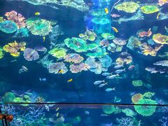-暹罗海洋世界