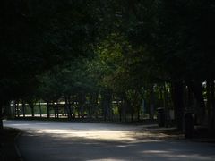 -长白岛森林公园