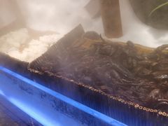 -焰江山·海鲜牛排烤肉自助(环形中心店)