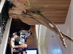 -千日贺茶餐厅(高新万达店)