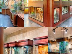 -帕帕拉兹宠物(亚洲旗舰店)