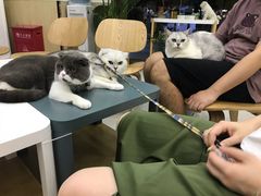 -瑞鹏宠物医院·骨科·猫科·内科(第一中心)