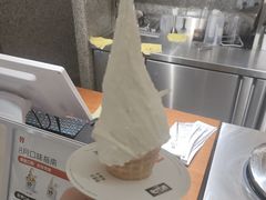 -野人先生Gelato(上海长宁龙之梦店)