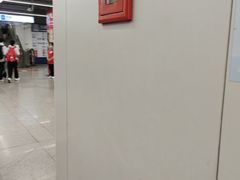 -东方体育中心(地铁站)