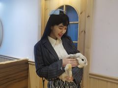 -猫猫幼稚园·撸猫·桌游·电玩