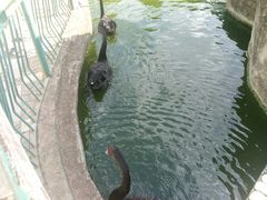 -昆明动物园