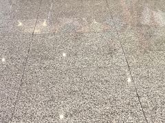 -惠东南站