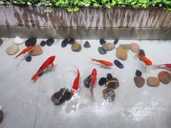 -辣不二地道川菜(汉水路店)