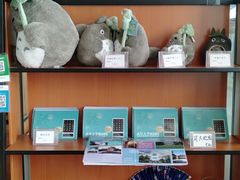 -武汉大学-樱园