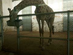 -石家庄市动物园