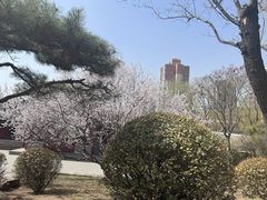 -迎泽公园