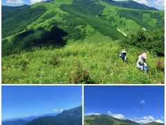 -灵山